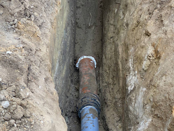 Best Flood restoration services  in San Leandro, CA