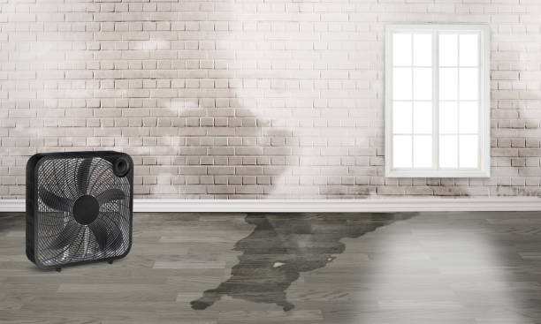 Best Water damage restoration services  in San Leandro, CA