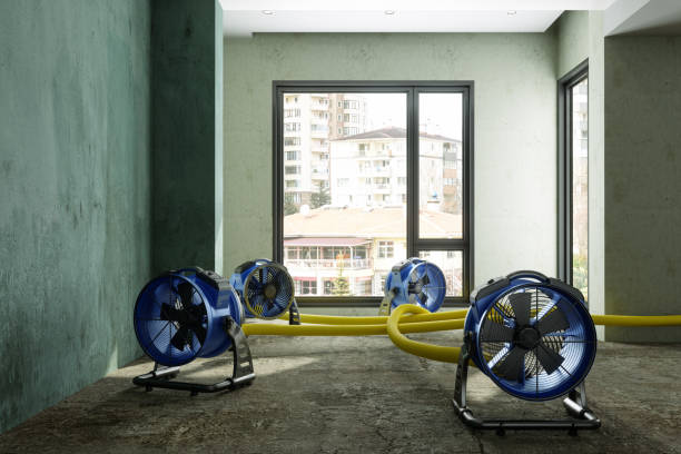 Best Professional water damage repair  in San Leandro, CA